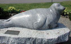 Image of Andre The Seal Image of Andre The Seal